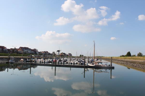 Holiday cottage with sauna in Zeeland Stavenisse Buitenkant foto